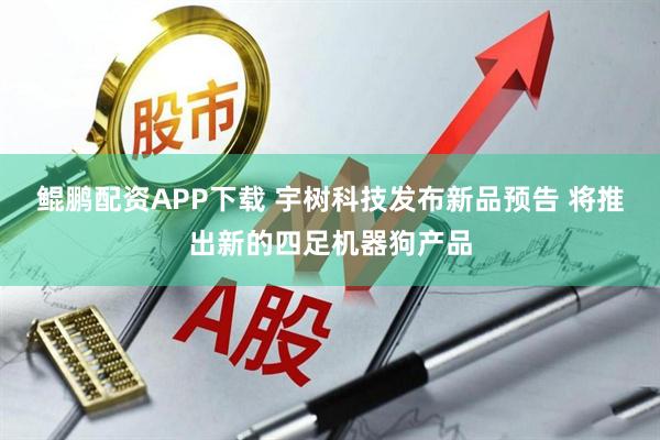 鲲鹏配资APP下载 宇树科技发布新品预告 将推出新的四足机器狗产品