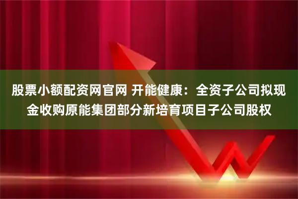 股票小额配资网官网 开能健康：全资子公司拟现金收购原能集团部分新培育项目子公司股权