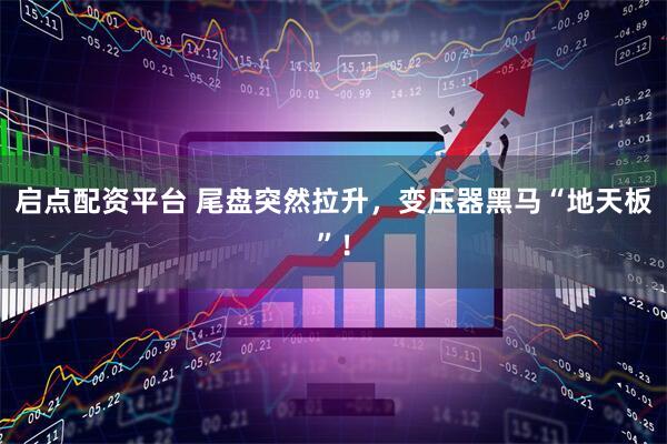 启点配资平台 尾盘突然拉升，变压器黑马“地天板”！